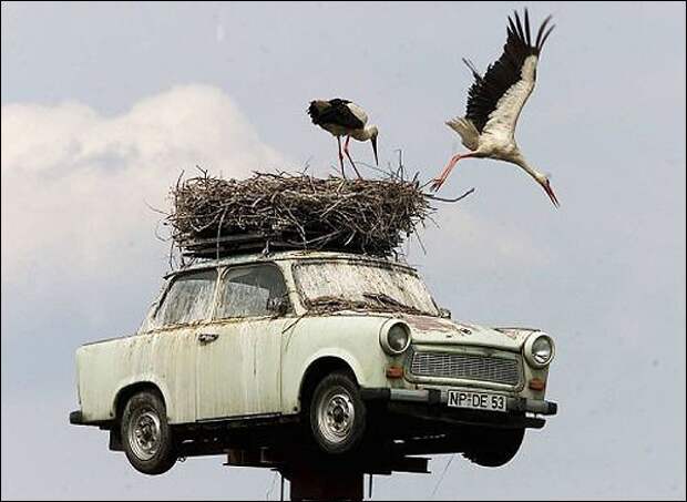 Прикольные фото автомобилей