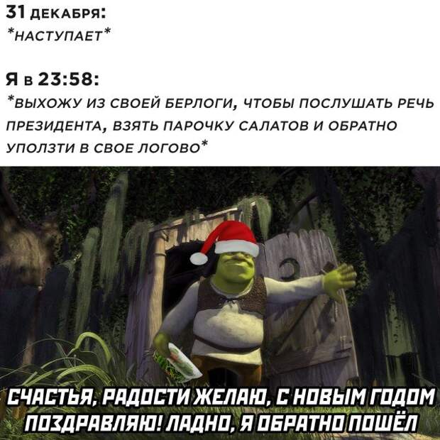 31 декабря и я