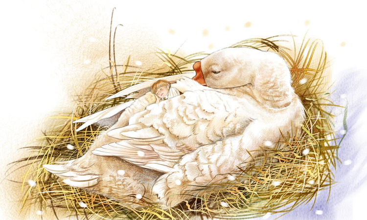 366824_original