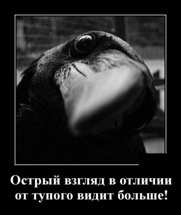 Демотиваторы (30 фото)