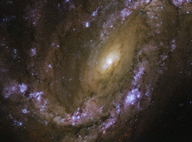 Спиральная галактика NGC 4051 снятая телескопом Хаббл Спиральная галактика NGC 4051 снятая телескопом Хаббл