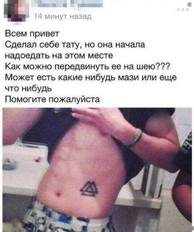 Курьёзы с разных концов света 24