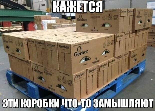 Смешные картинки с подписями  картинки, прикол, юмор