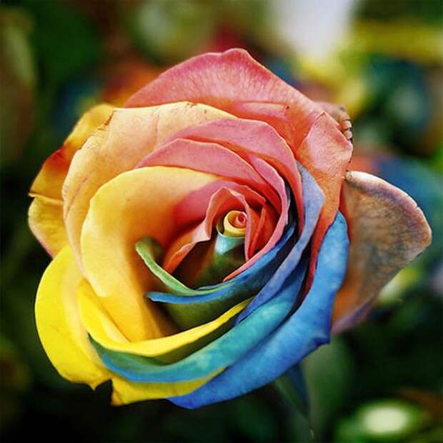 Прикольные картинки. Вечерний выпуск (54 фото)