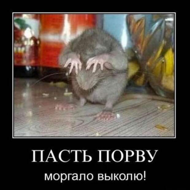 Новые демотиваторы на начало недели!