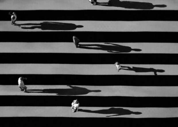 Тени отбрасывают котов: 20 сюрреалистических фотографий Алексея Меньшикова
