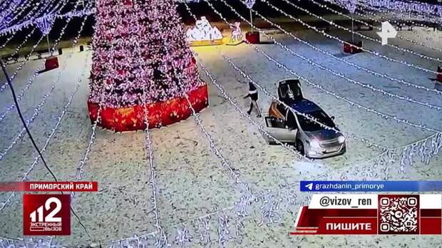 Вандалы разгромили новогоднюю елку в Приморье