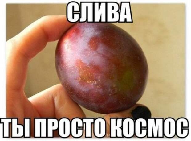 Смотрим  приколы - сушим зубы.