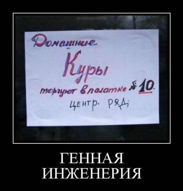 Демотиваторы для отличного настроения