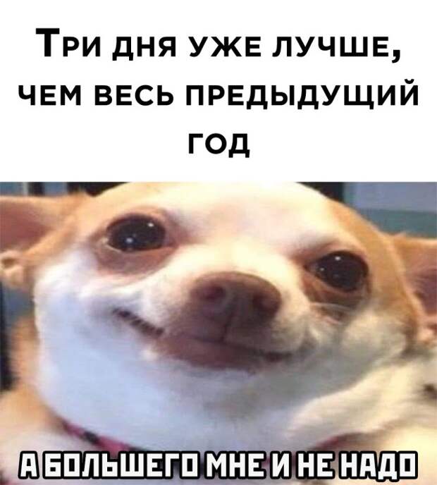 Смешные картинки 4 января 2021 года