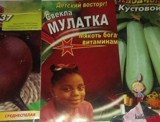 Прикольные семена (35 фото)