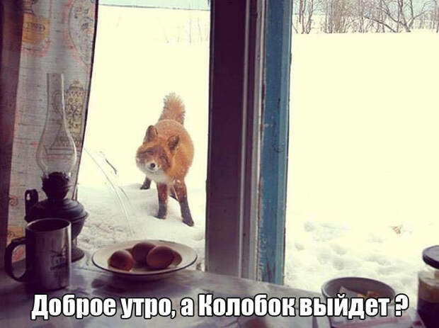 Прикольные картинки. Вечерний выпуск (54 фото)