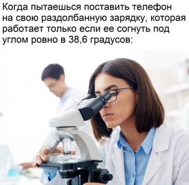 kartinok-prikolnyh-podborka-kartinki-smeshnye-kartinki-fotoprikoly