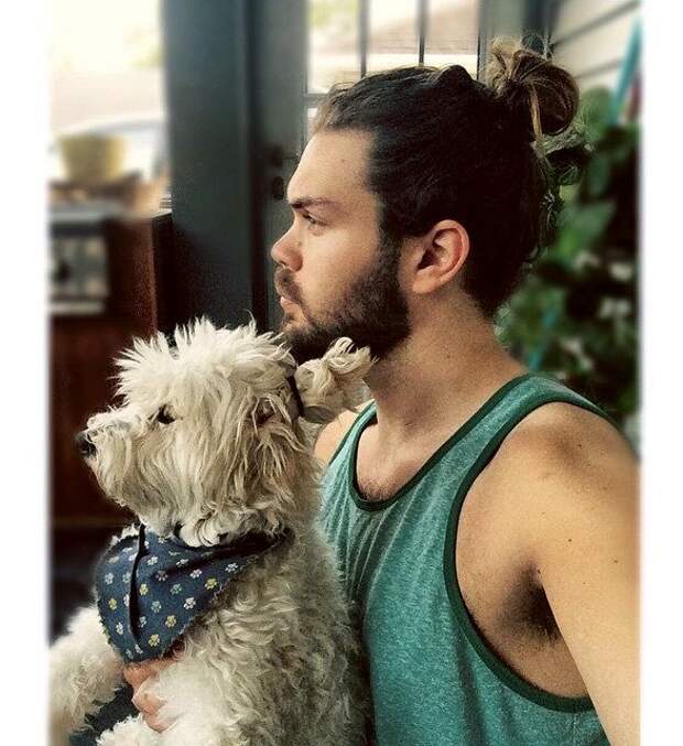 Собаки с гульками,  #DogBun