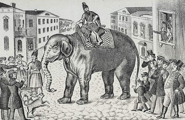 Эпоха русского слона