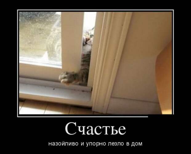 Демотиваторы (30 фото)