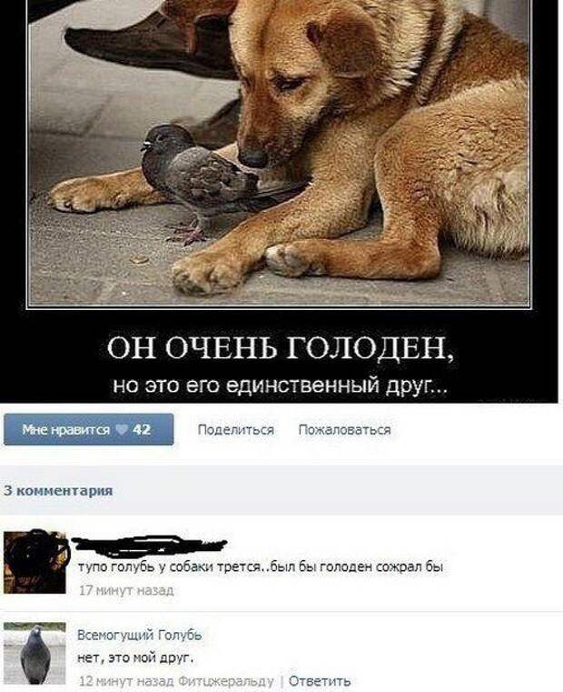 Смешные комментарии из социальных сетей (33 фото)