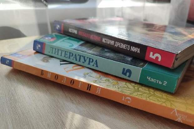 Большинство тамбовчан поддержало переход школ на систему обучения по триместрам