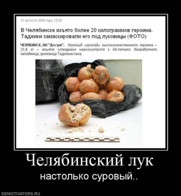 Все самое прикольное в одной подборке демотиваторов.