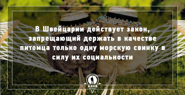 9 интересных фактов о мире в мире, факты