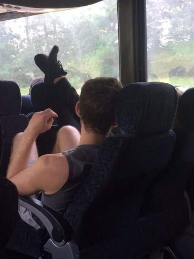 Прикольные картинки (102 фото)