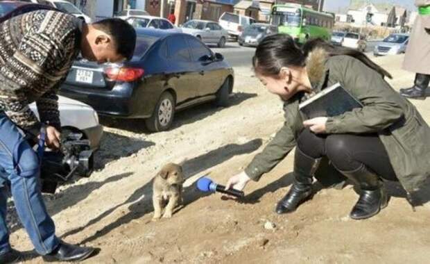 Классные и прикольные картинки (45 шт)