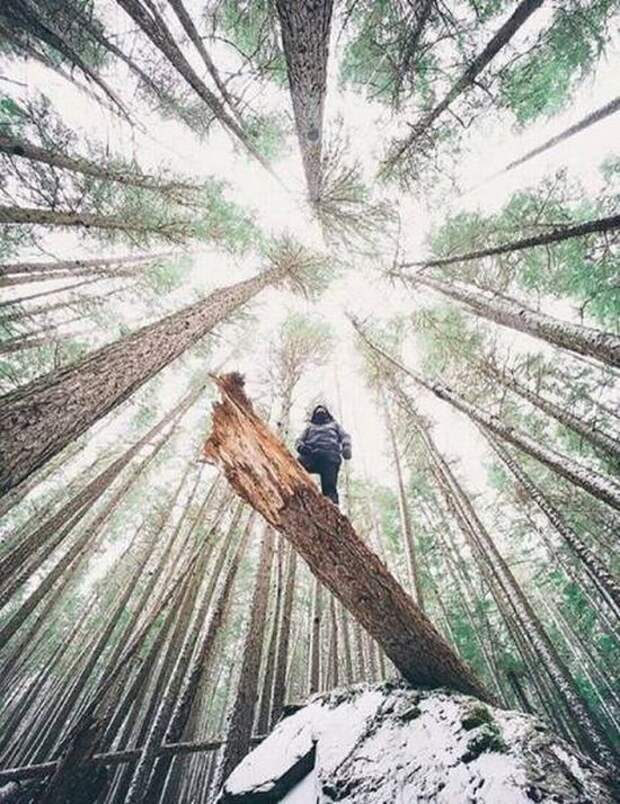 Прикольные картинки. Вечерний выпуск (54 фото)