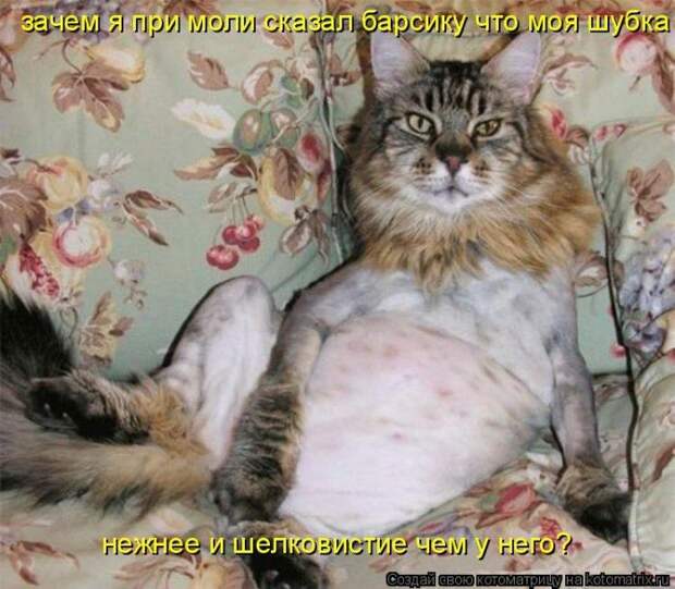Мысли вслух :)