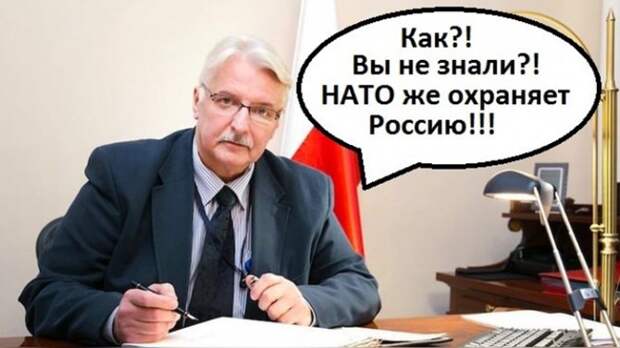 МИД Польши: НАТО, расширяясь на Восток, охраняет Россию #вотэтоповорот МИД Польши: НАТО, расширяясь на Восток, охраняет Россию #вотэтоповорот