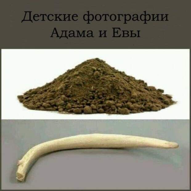 Прикольные картинки после 1 апреля (64 шт)