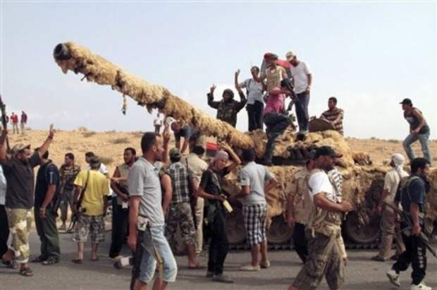 Это ж сколько животных загубили!