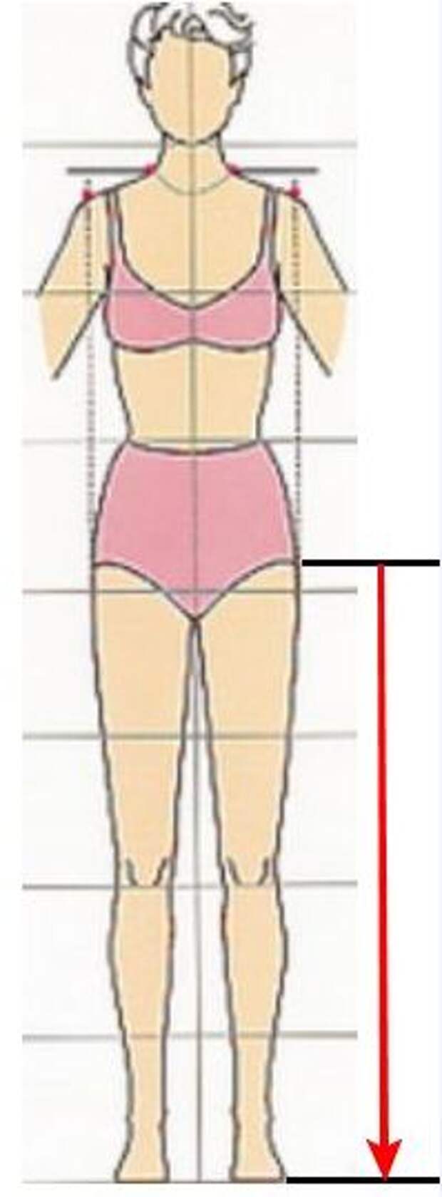 Как измерить длину ног у женщин схема