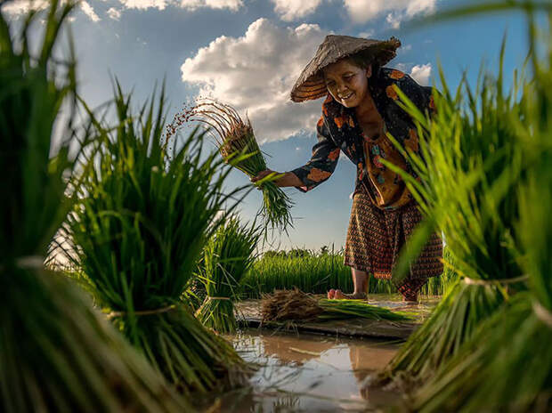 Лучшие фотографии августа 2015 от National Geographic