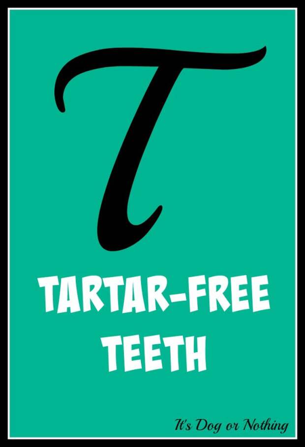 When it comes to giant breed health and nutrition, there's a lot that goes into raising a happy, healthy dog. We're going from A to Z talking about giant breed specific needs! Today, it's all about how to keep those giant teeth tartar-free!