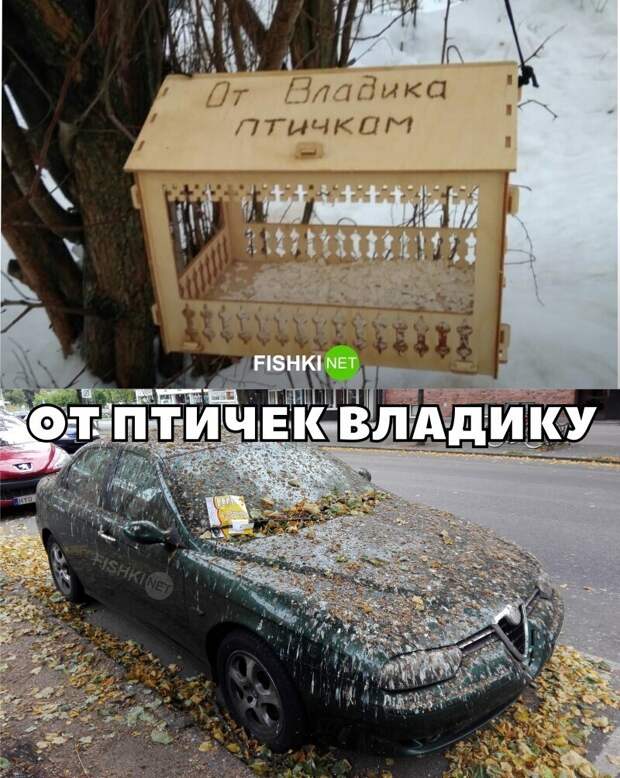 20 шуточек об автомобилях и их владельцах 20 шуточек об автомобилях и их владельцах