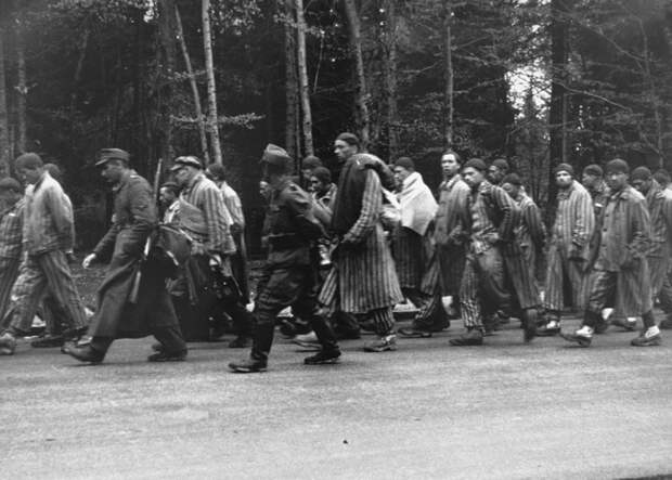 Ужасы Дахау - наука вне морали  дахау, история, освобождение