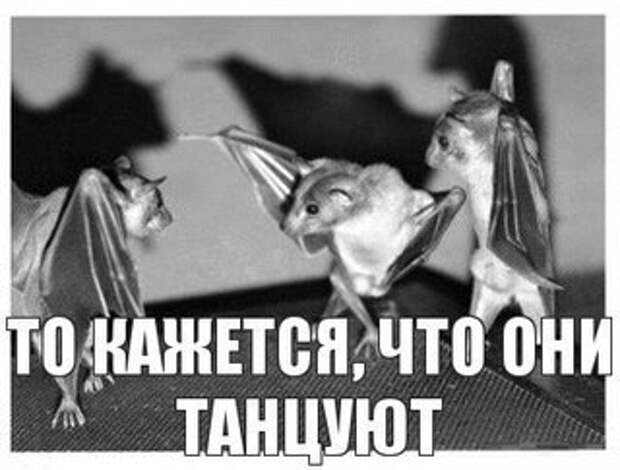Всяко - разно 45 ))) Всяко - разно 45 )))