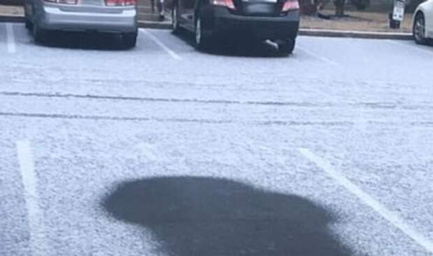 Автомобилистку чуть не оштрафовали за неприличие на стоянке Теннесси, автостоянка, забавно, неприлично, следы на снегу, снегопад, странные люди, штраф