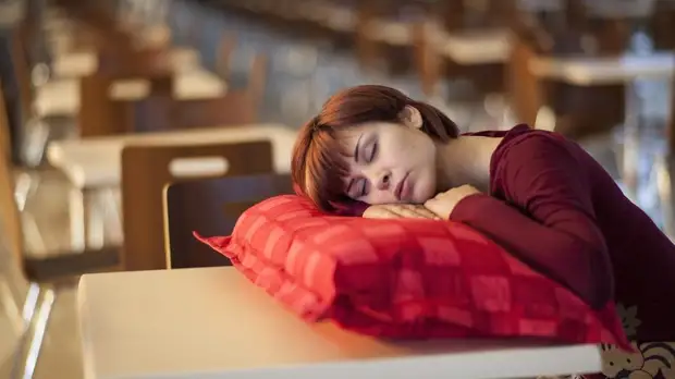 Учёные: совы могут изменить режим дня и улучшить своё здоровье