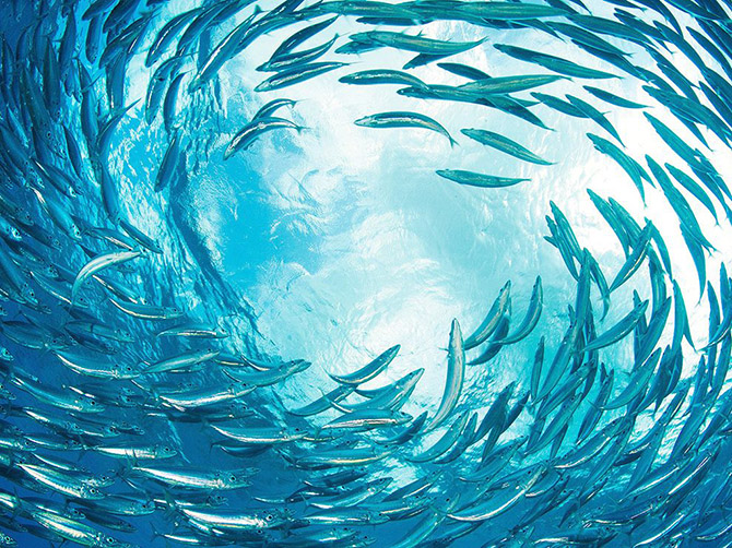 Лучшие фотографии апреля 2015 от National Geographic