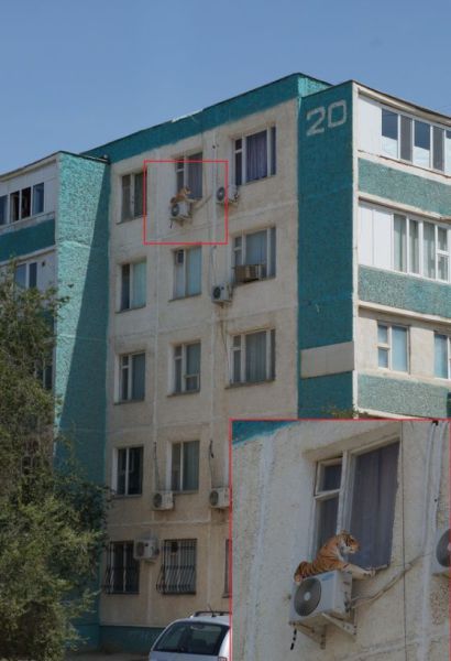 Такое возможно только в России маразмы, россия, юмор