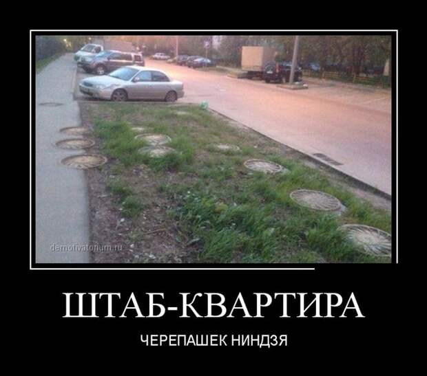 Демотиваторы (30 фото)
