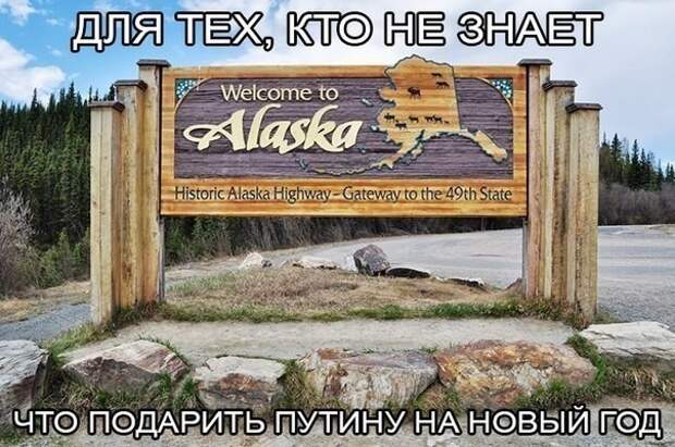 Алясканаша, и никаких гвоздей! Алясканаша, и никаких гвоздей!