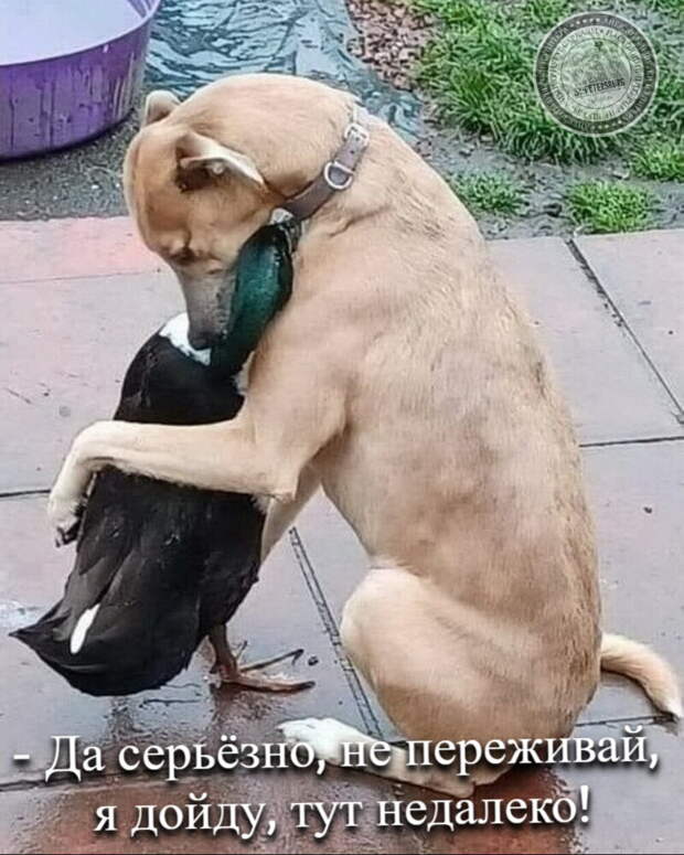 Не переживай...