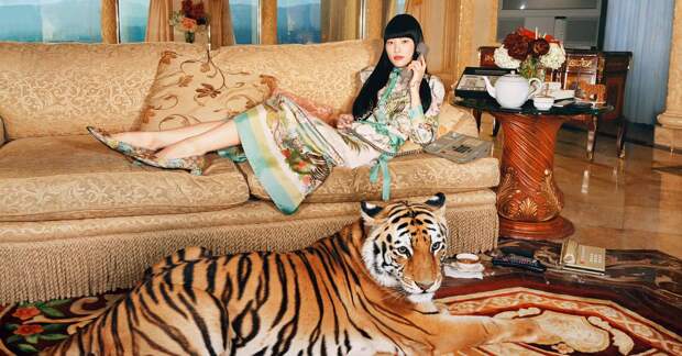 Итальянский дом моды раскритиковали из-за участия тигров в рекламной кампании