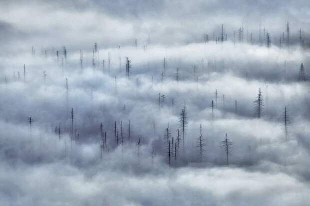 12 невероятных фотографий без грамма Фотошопа