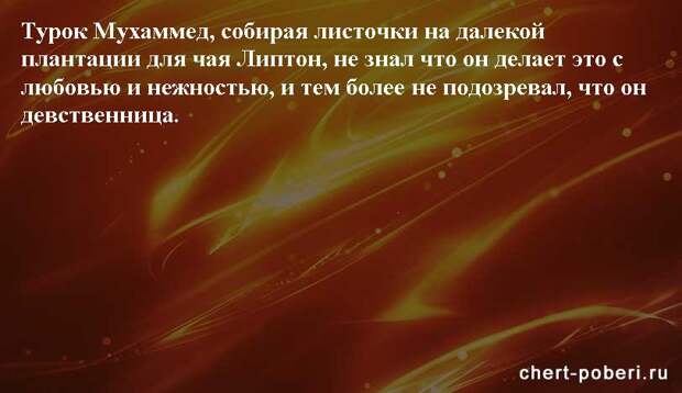 Самые смешные анекдоты ежедневная подборка chert-poberi-anekdoty-chert-poberi-anekdoty-52441211092020-13 картинка chert-poberi-anekdoty-52441211092020-13