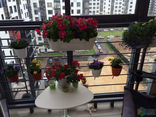 Уютный балкон фото, цветы на балконе