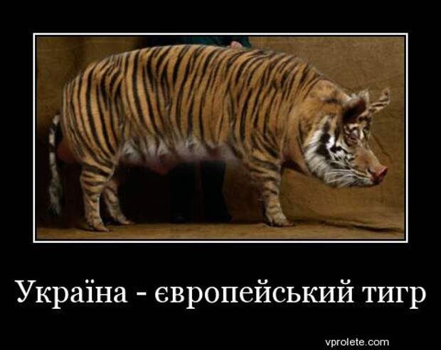 Украина - европейский тигр