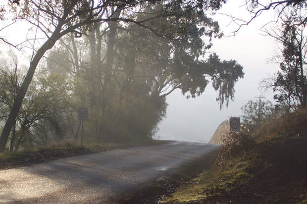 https://upload.wikimedia.org/wikipedia/commons/0/06/Misty_road.jpg